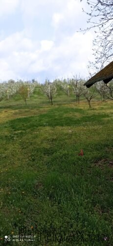 Vikendica Krcedin-Sl.Vinogradi - 18