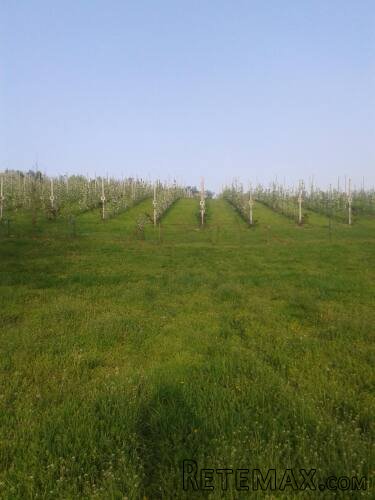 Vikendica Krcedin-Sl.Vinogradi - 19