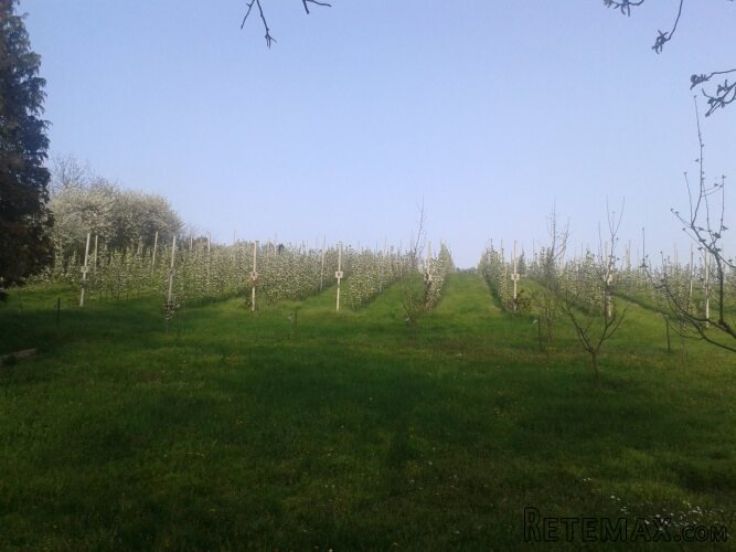 Vikendica Krcedin-Sl.Vinogradi - 20