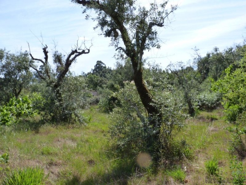 Land plot with potential to build a.. - 2
