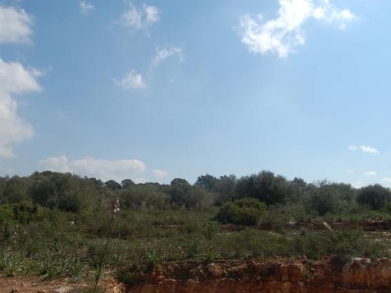 Rustic Plot To Build In Preferred.. - 2