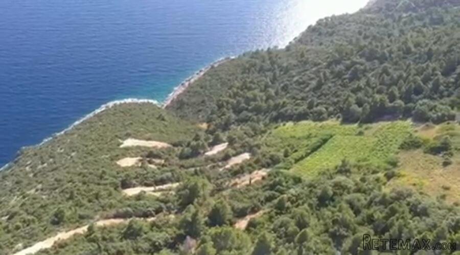 Prilika života - OPG u srcu Dingača - 2