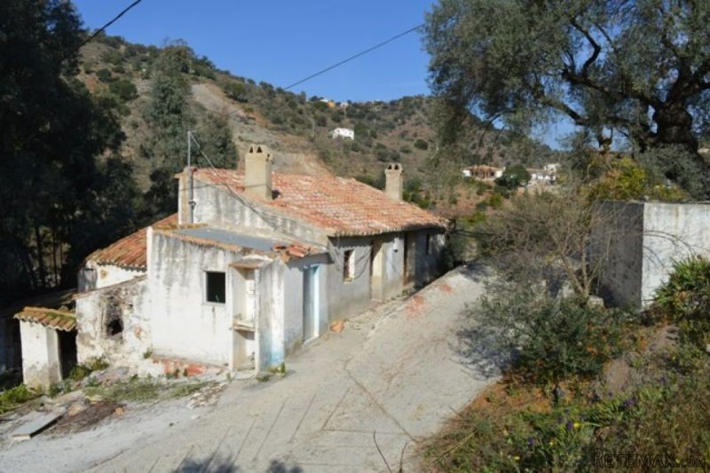 4 bedroom, 1 bathroom Finca/Country.. - 2