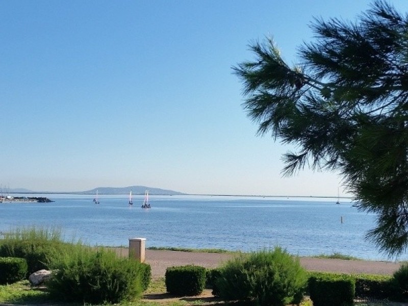 Ground Floor Apartment Walking Distance.. - 2