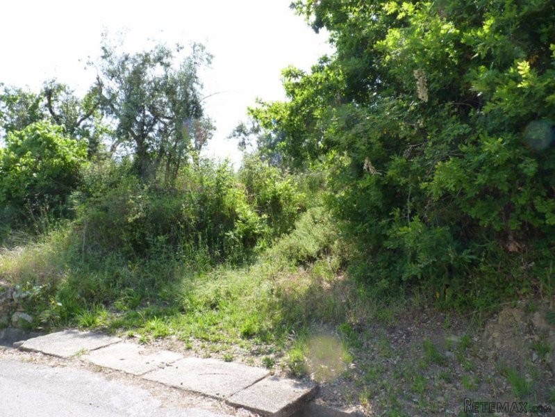 Land plot with potential to build a..