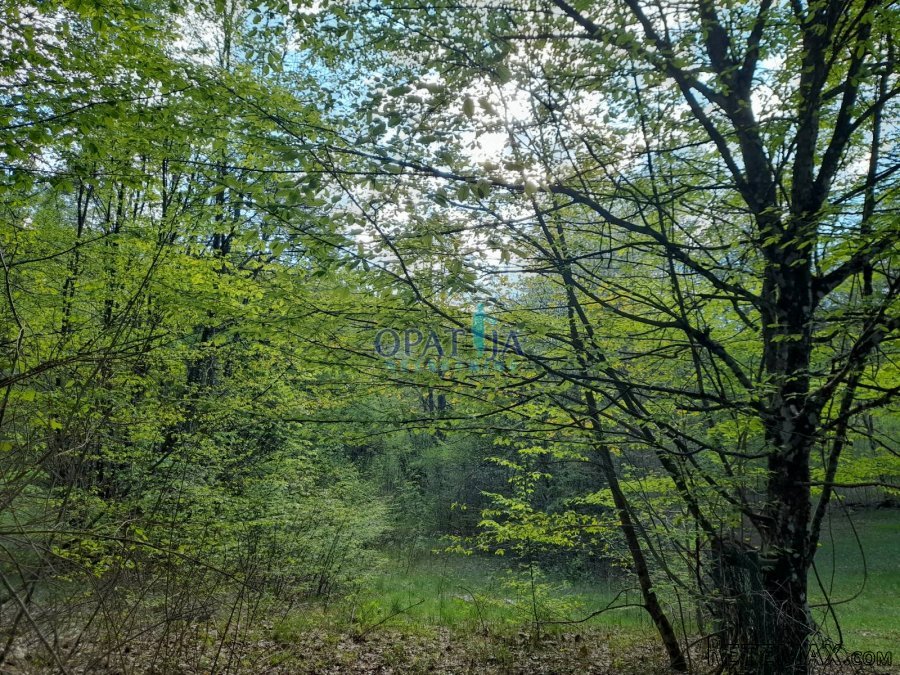 Lisina - matuljsko zaleđe, parcela, sportsko-rekreacijske.. - 3