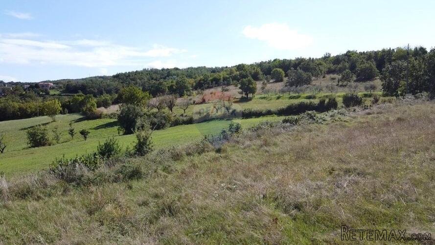 Istra, Motovun okolica-građevinsko zemljište s građevinskom - 4