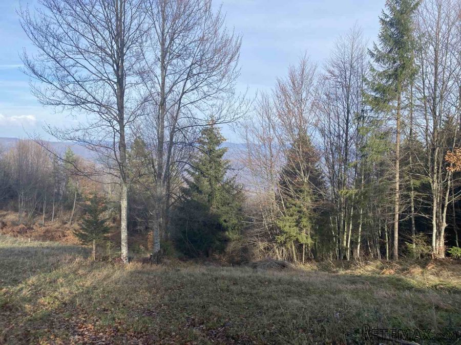 Plac na planini Tara-Oslusa - 6