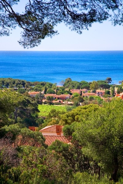 Domaine Safran - 2
