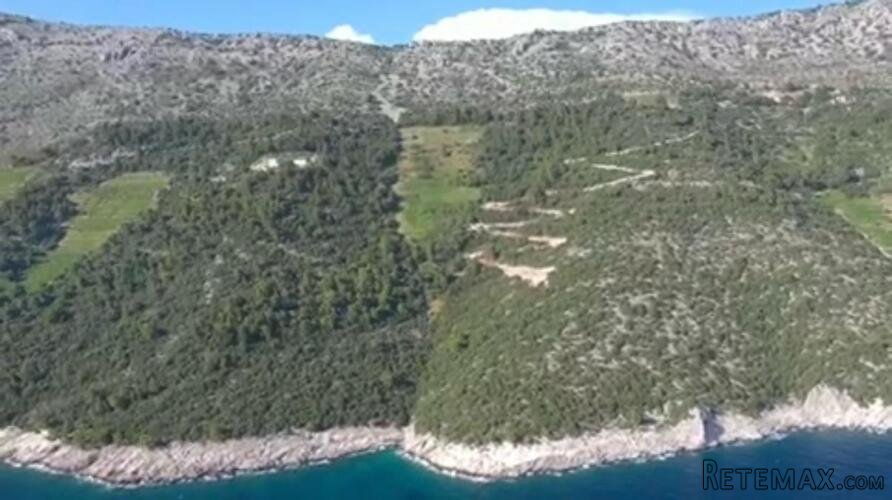 Ekskluzivni vinograd Dingač – Pelješac - 2