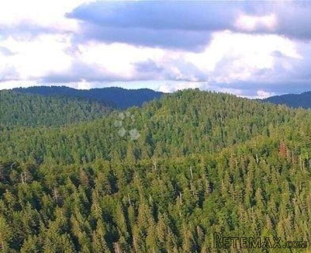 Poljoprivredno zemljište u Liču – 2.935 m², mirna lokacija - 2