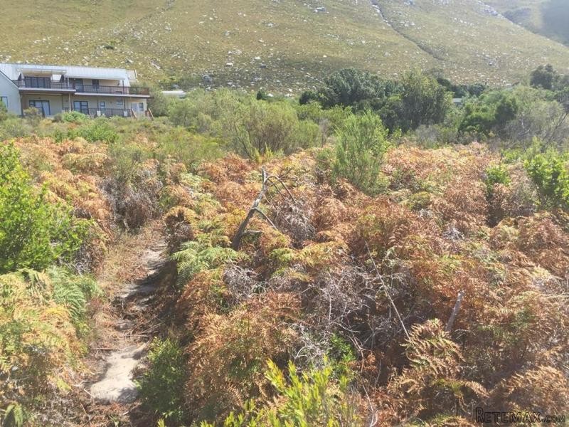 Bettys Bay Vacant Land, Bettys Bay - 2