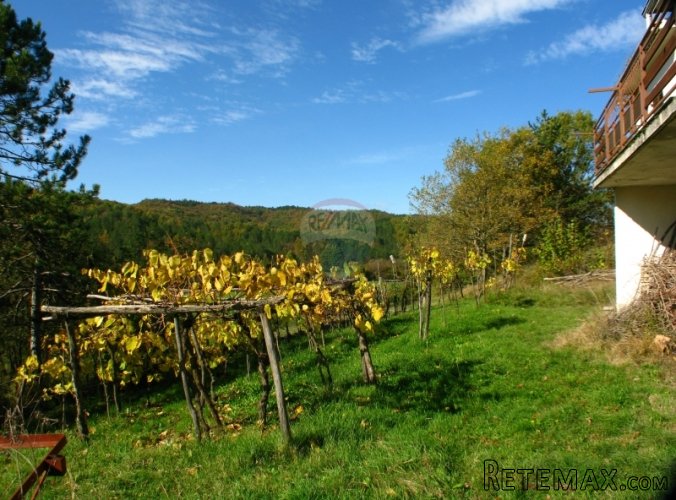 ISTRA, OKOLICA CEROVLJA KUĆA SA VELIKOM OKUĆNICOM - 2