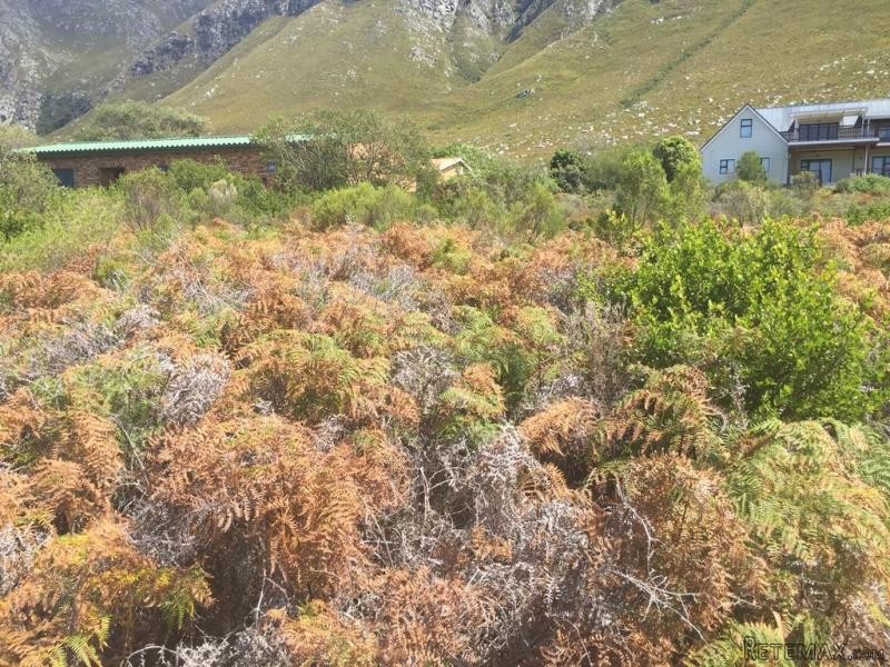 Bettys Bay Vacant Land, Bettys Bay