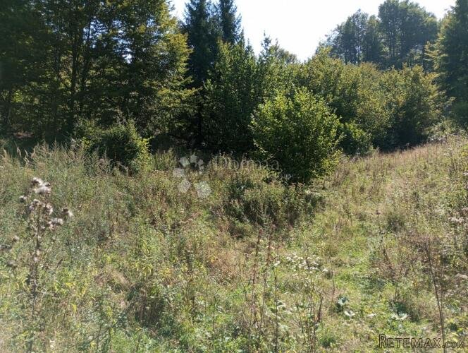 GORSKI KOTAR DELNICE PRILIKA ZA LUKSUZNO IMANJE ili do 10 vi - 3