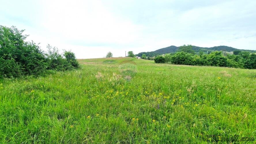 Istra,Pazin-Građevinsko zemljište mješovite namjene - 3