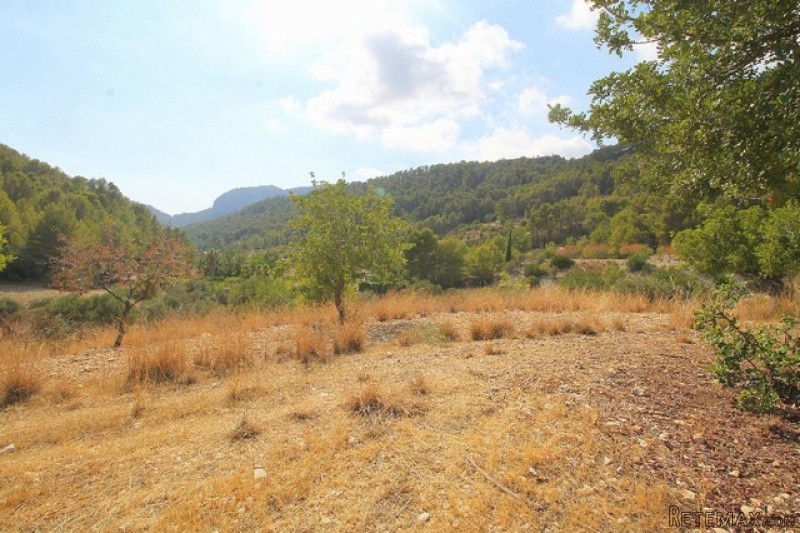 A 15,300m2 plot for sale in the.. - 2