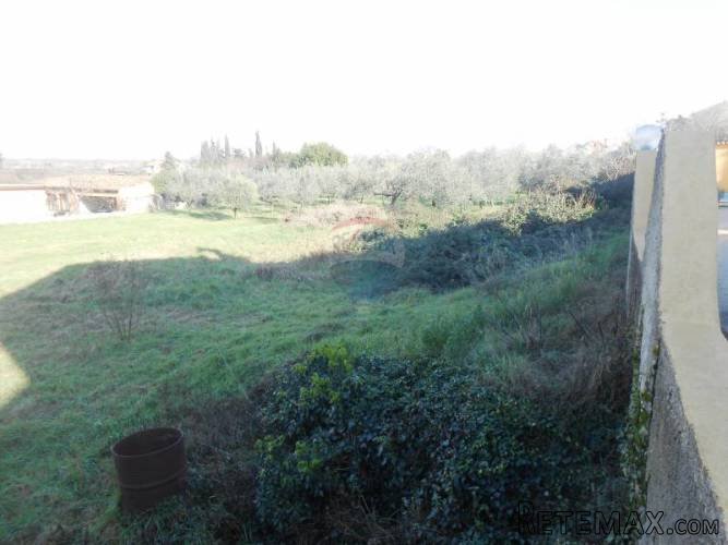 Istra, Vodnjan, građevinsko zemljište sa maslinikom - 3