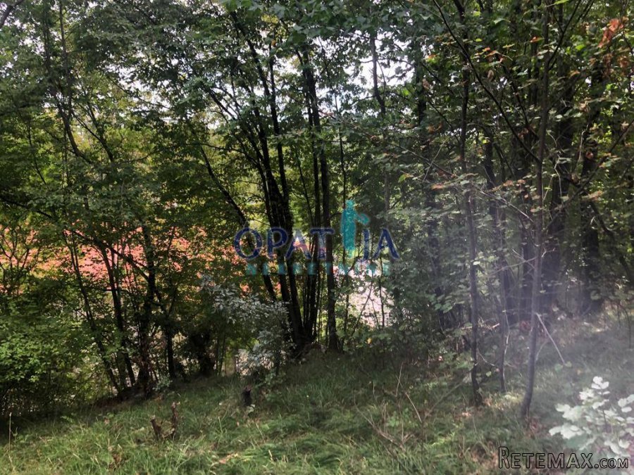Zvoneća, izniman građevinski teren od 4633 m2 - 2
