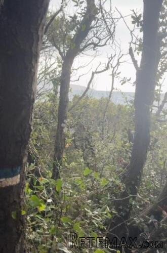 Idila na Krku, tik uz more! - 3