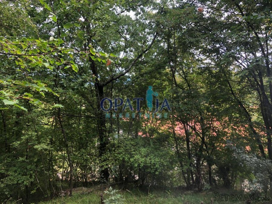 Zvoneća, izniman građevinski teren od 4633 m2 - 3