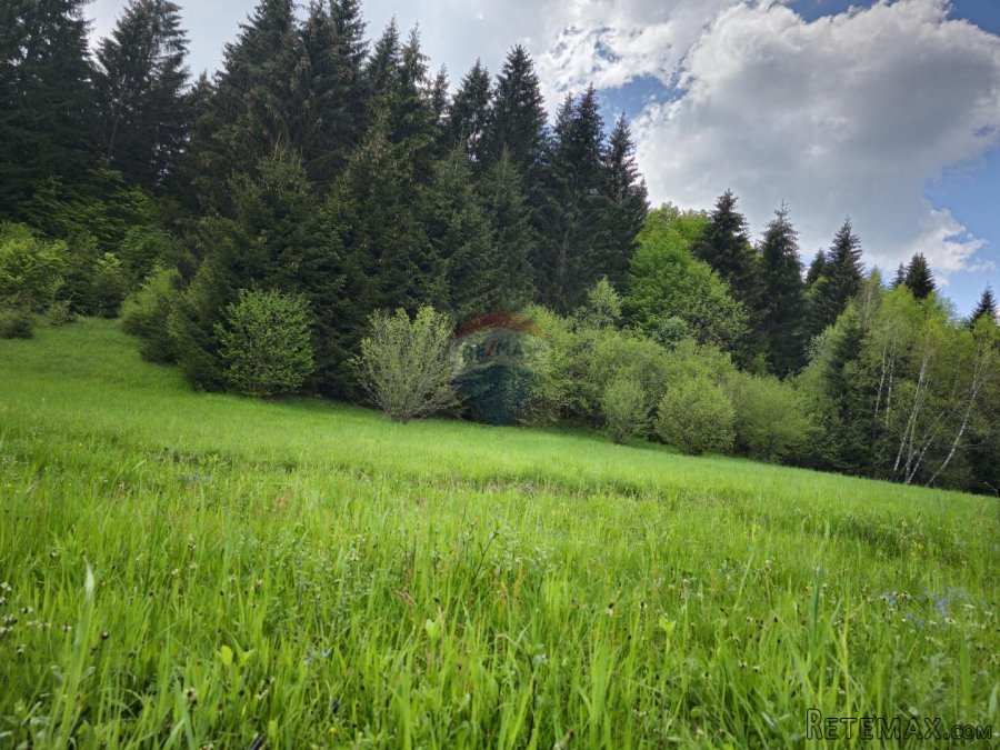 Negrađevni teren 3890 m2 - Hlevci - 5