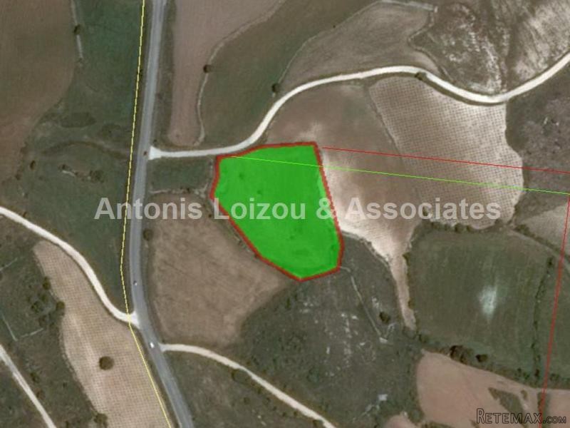 6,349 m2 field in Pano Arodes