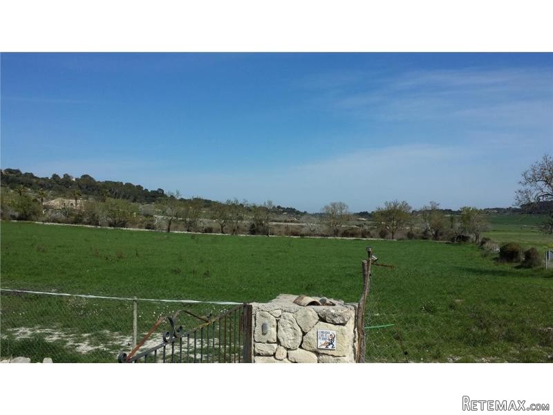 Land For Sale In Montuïri
