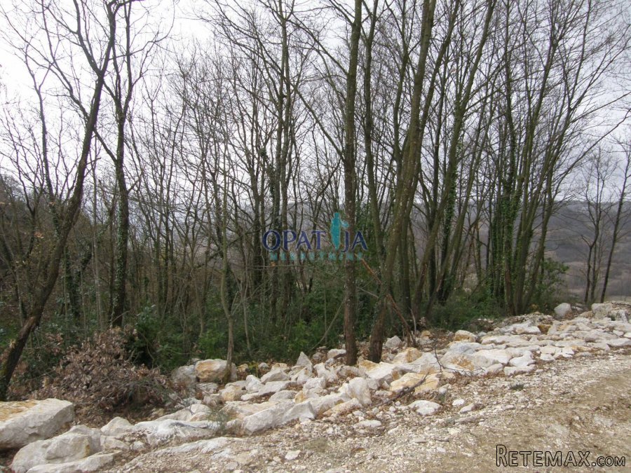 Pićan, nedaleko gradske jezgre prodaje se atraktivno.. - 2