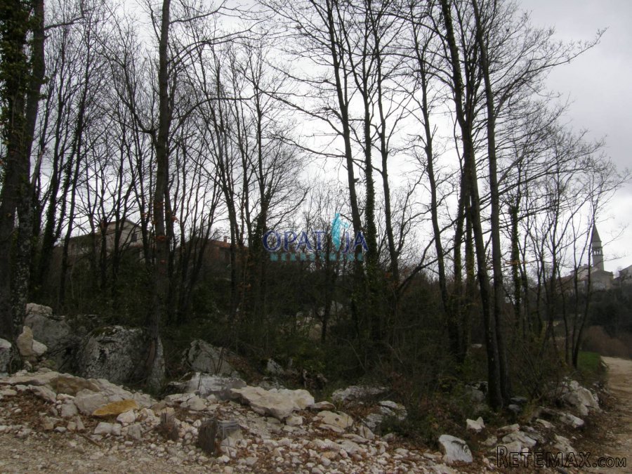 Pićan, nedaleko gradske jezgre prodaje se atraktivno.. - 4