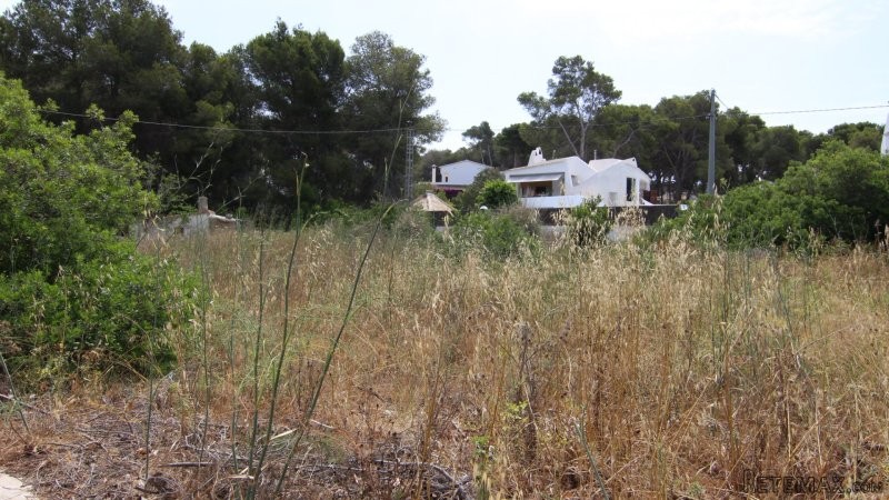 Flat Building Plot For Sale in Javea