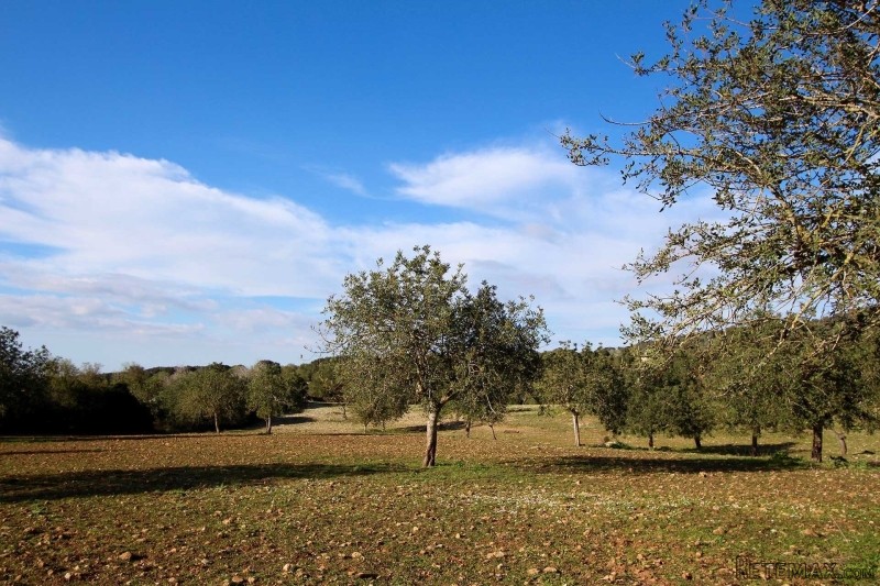 Quiet with nice view to the landscape..