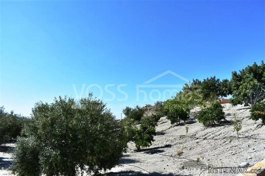 A lovely 4 bedroom, 1 bathroom Country House of 230m2 with.. - 17