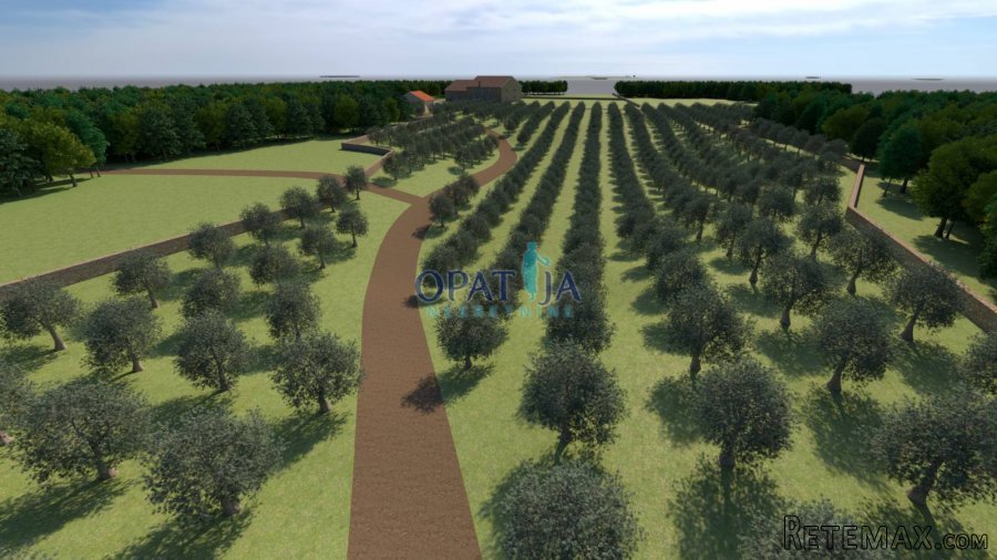 Istra, Bale zemljište 12200 m2