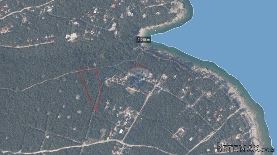 Istra, Peruški okolica, šuma blizu mora