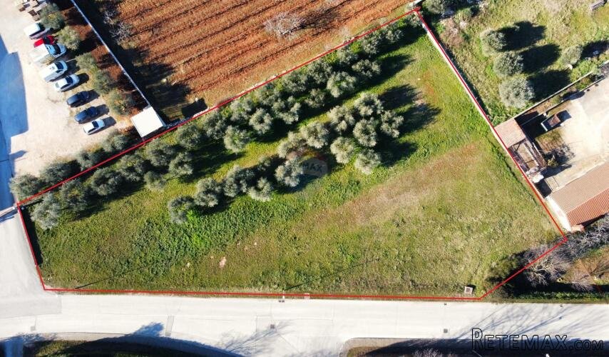 Kanfanar - fantastična parcela s pogledom na more 2754 m2