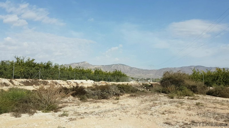 Land, (plot 13000m2), Albatera