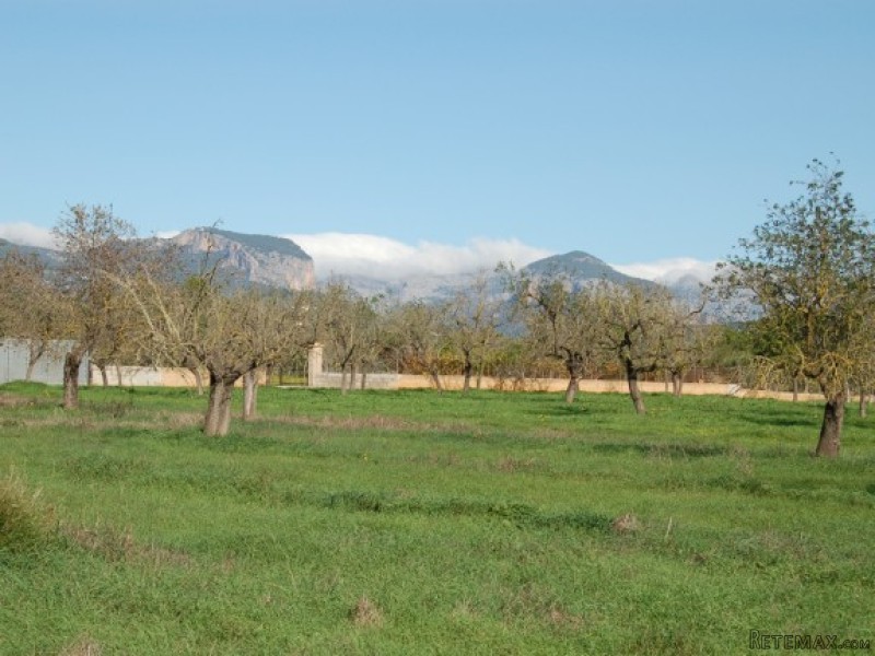 Lovely Plot With Distant Mountain Views..