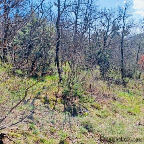 POLJOPRIVREDNO ZEMLJIŠTE – 7.399 m² – KALAC,PRODAJA!