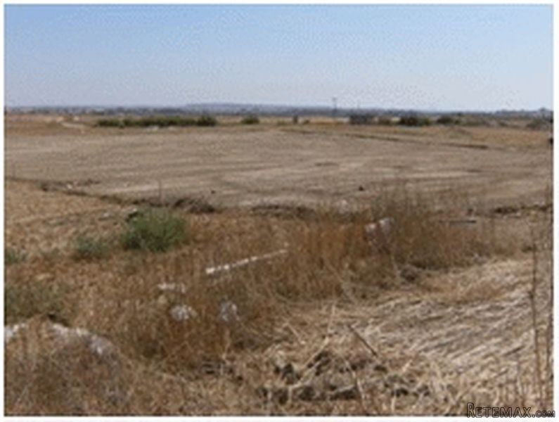 - Land - Larnaca - For Sale - 2