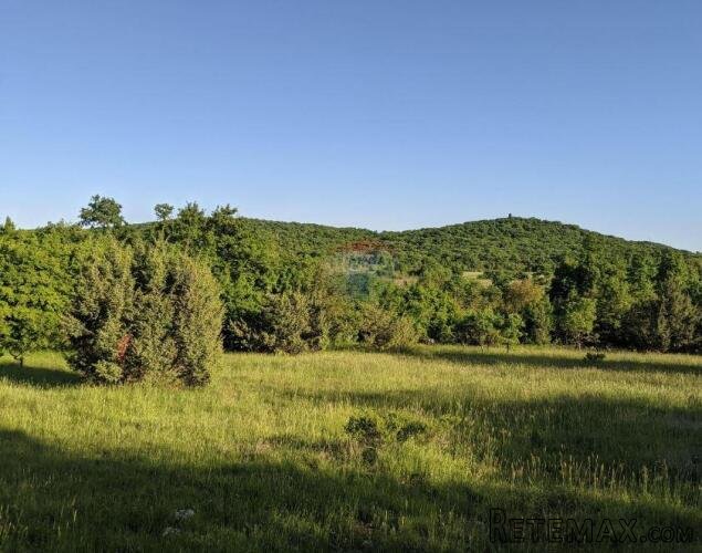 Istra, Rovinjsko Selo - Oranica 2260 m2