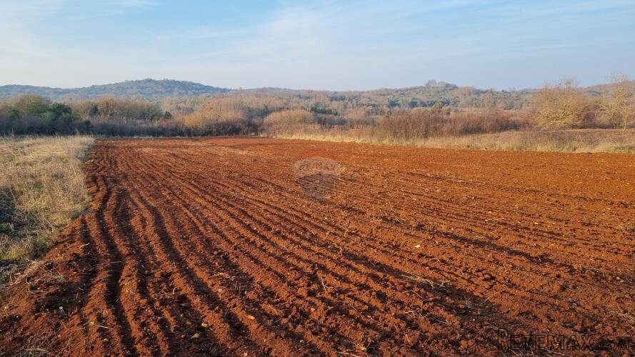 Istra, Rovinj - Pašnjak 3180 m2
