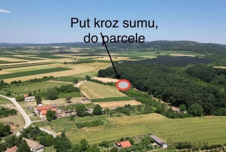 Prodajem zemljiste Krušedol-Irig - 4