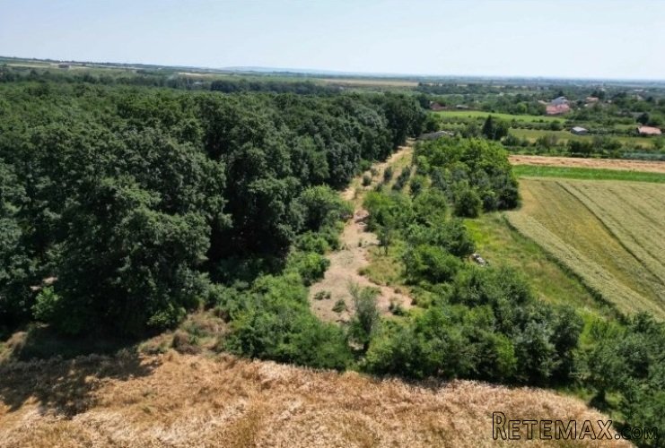 Prodajem zemljiste Krušedol-Irig - 5