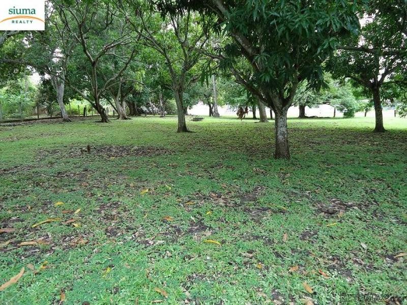 Lot in Gorgona BeachLote en Playa.. - 2