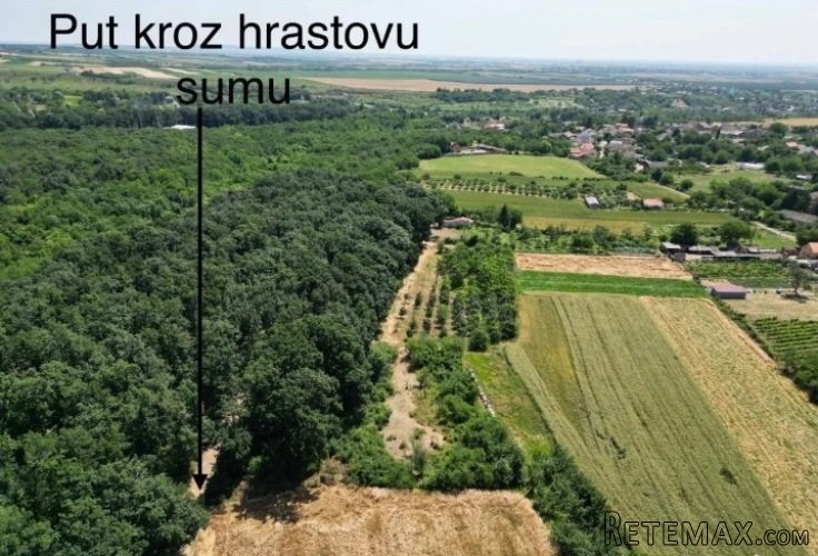 Prodajem zemljiste Krušedol-Irig - 8