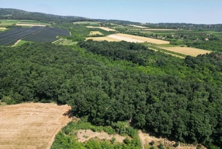 Prodajem zemljiste Krušedol-Irig - 9