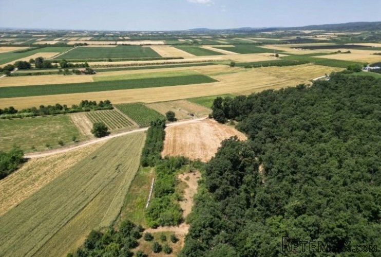 Prodajem zemljiste Krušedol-Irig - 10
