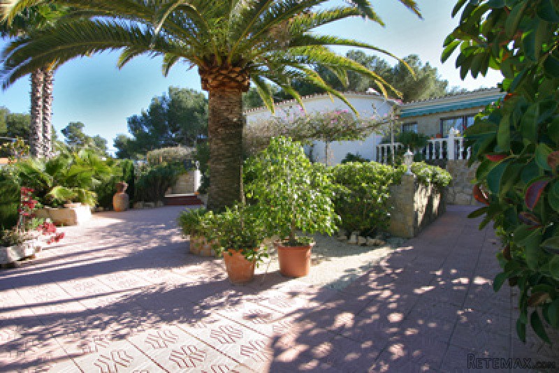 5 Bedrooms - Villa - For Sale - 2