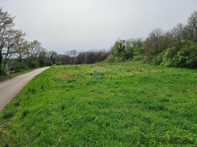 Istra, Žminj okolica - građevinsko-poljoprivredno zemljište - 3